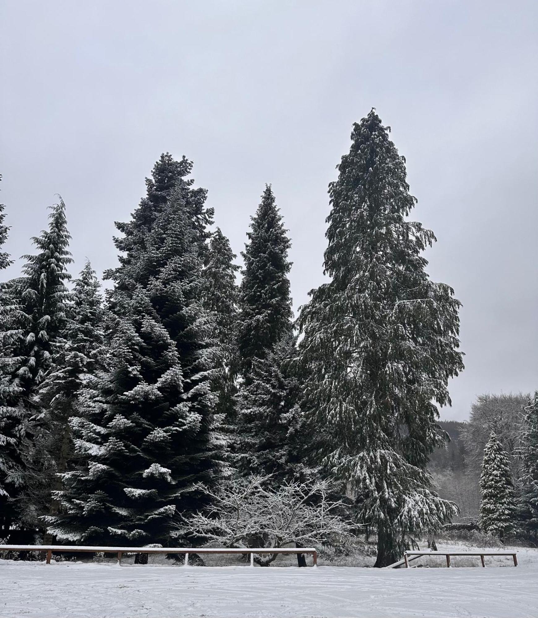 פיטלוצ'רי Kinnaird Woodland Lodges מראה חיצוני תמונה
